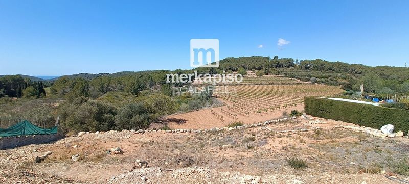 Foto 06d1495a-f323-4927-bb08-1affa8b7deda. Finca rústica a Valldemar-Montmar Segur de Calafell