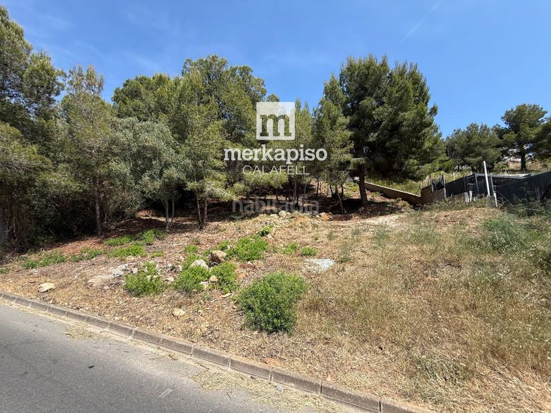 Foto 58aa9e71-1406-4401-a017-8b9898d322dd. Finca rústica a Segur de dalt Segur de Calafell