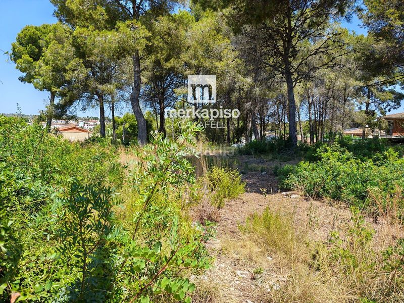 Foto a3c145d2-9413-4175-a432-4a3edaff254b. Finca rústica a Cunit residencial Cunit