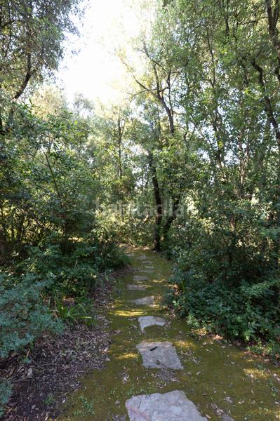 Foto b30c954a-1ba2-4ea7-bcce-cea534d25409. House with parking in Seva