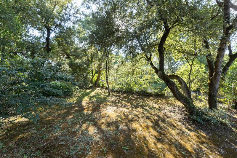 Foto f1f75f66-48f0-4521-8ff2-289efd0badcd. House with parking in Seva