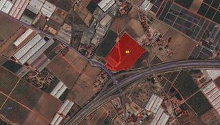 Rural plot in Diseminado tarragas 8