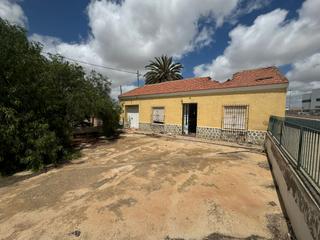 Masia  Diseminado tarragas