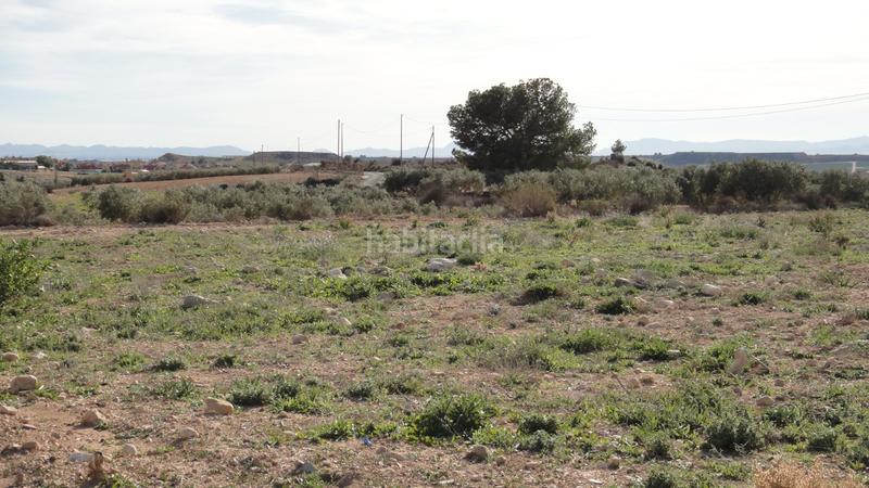 Foto 178dc0d4-a4c8-4fbd-85a2-26d5fbab7b9b. Fondo rustico in Gea y Truyols Murcia