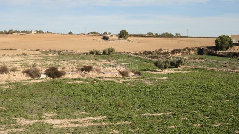 Foto ccb880f3-34ff-4229-b8d9-a7c6a13b94ec. Fondo rustico in Gea y Truyols Murcia