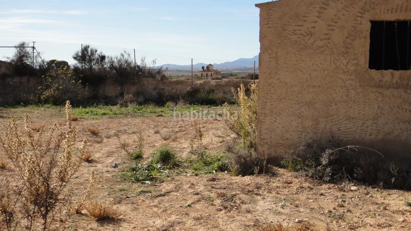 Foto f9cc1629-ff4c-4442-bf54-5a43fa62e4b0. Fondo rustico in Gea y Truyols Murcia