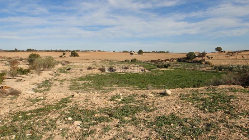 Foto 914aa42c-52ee-45bb-9666-08b1c680f610. Landgut in Gea y Truyols Murcia