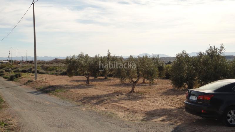 Foto 57069716-4035-4bb4-af00-02eb900df88f. Finca rústica a Gea y Truyols Murcia