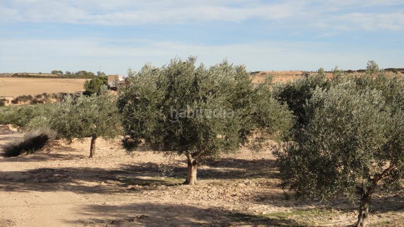 Foto d7dec7dc-6fa3-496a-94d6-fca1f738d99a. Finca rústica a Gea y Truyols Murcia