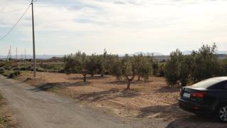 Rural plot in Gea y Truyols