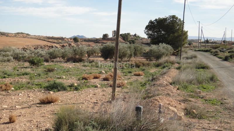 Foto 7f19f361-de87-447f-bf3d-545c6d8e76b5. Finca rústica en Gea y Truyols Murcia