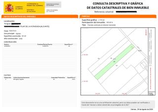 Rural plot in Pilar de la Horadada Ciudad