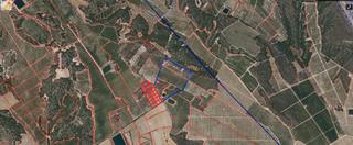 Rural plot in Pilar de la Horadada Ciudad
