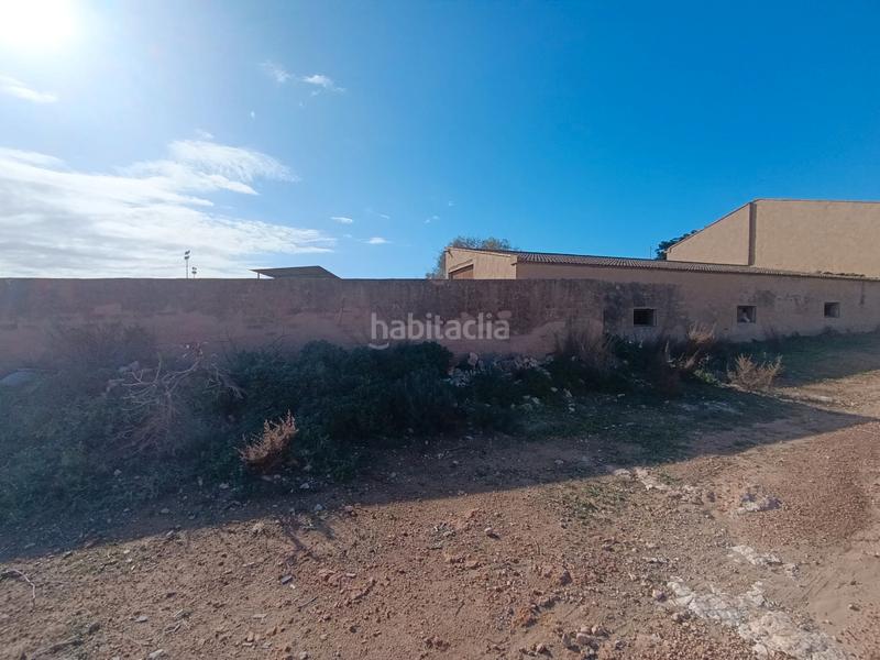 Foto 0f149916-b8c3-4247-9c50-d247a67db01c. Finca rústica a Pilar de la Horadada ciudad Pilar de la Horadada