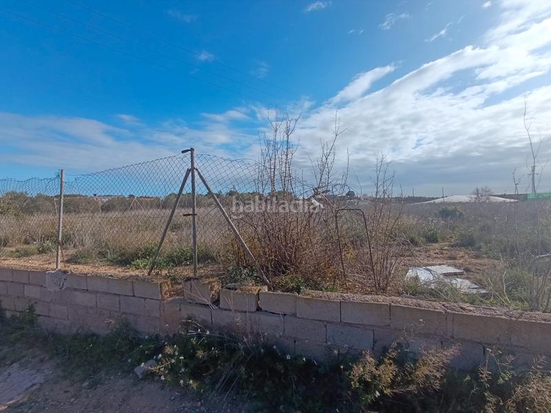 Foto 27f08bc1-0fec-47f9-ac0d-1222fcb23825. Finca rústica a Pilar de la Horadada ciudad Pilar de la Horadada