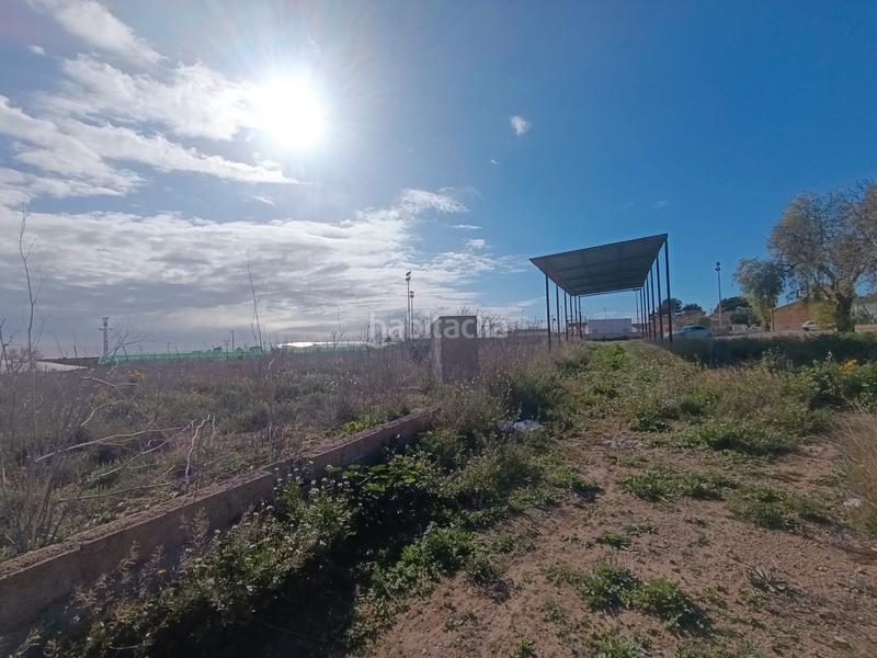 Foto 36329289-c5d6-44f5-b3c0-00217ee47cba. Finca rústica a Pilar de la Horadada ciudad Pilar de la Horadada