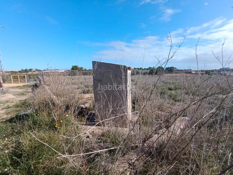 Foto 89bcf7f0-fc5e-45ed-a767-7b217c926937. Finca rústica a Pilar de la Horadada ciudad Pilar de la Horadada