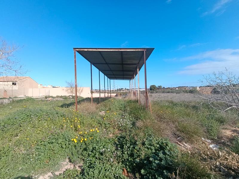 Foto a1c48eec-388b-4227-ae20-cc69e11a70c4. Finca rústica a Pilar de la Horadada ciudad Pilar de la Horadada