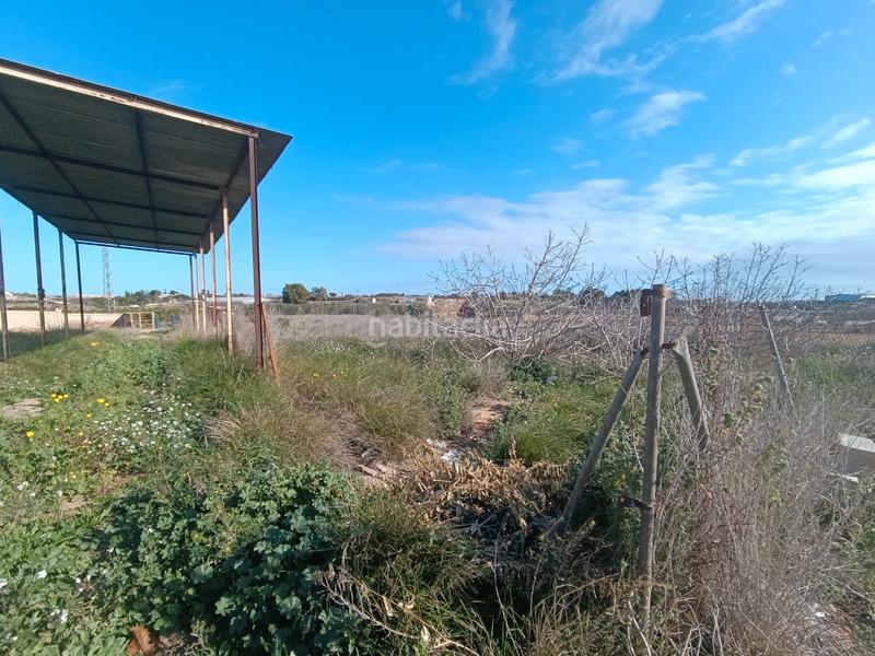 Foto c57450e9-1c30-475b-8b68-2924bb4227fe. Finca rústica a Pilar de la Horadada ciudad Pilar de la Horadada