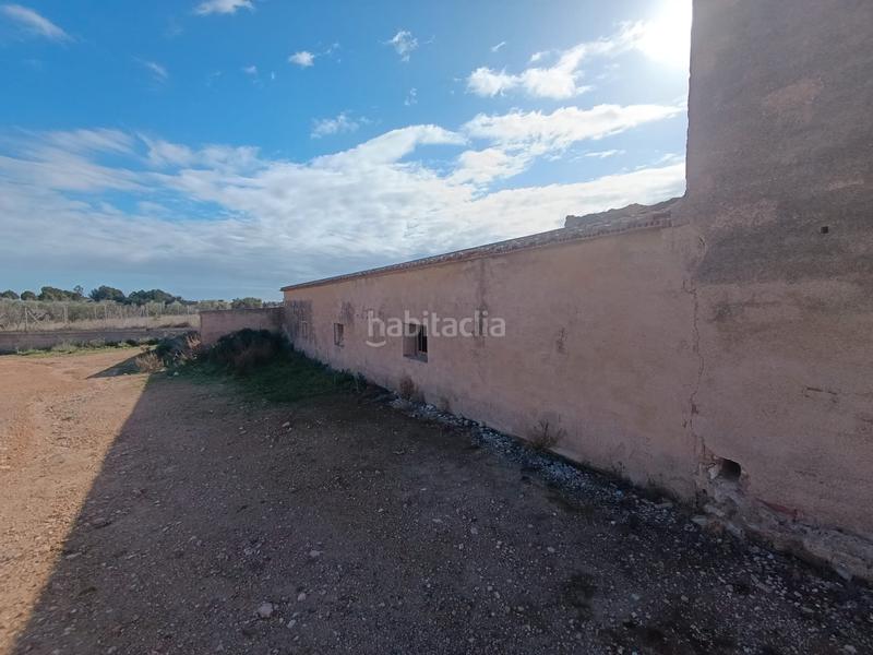 Foto c580a9d0-e1bc-44ea-8ddb-eab5c4667aeb. Finca rústica a Pilar de la Horadada ciudad Pilar de la Horadada