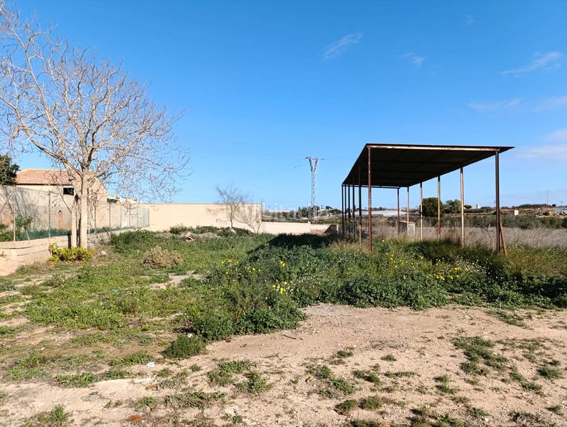 Foto c7f7013e-57ba-4a37-9049-d200835565b7. Finca rústica a Pilar de la Horadada ciudad Pilar de la Horadada