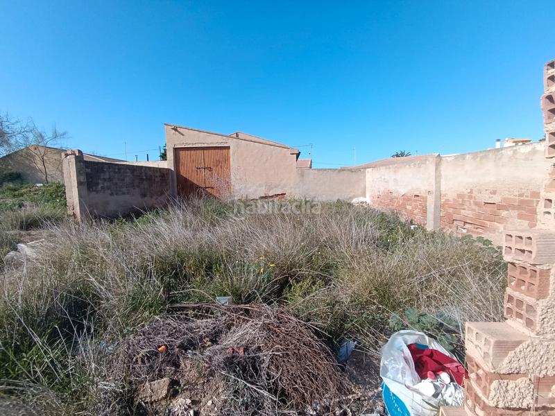 Foto cb7e25a9-59b5-4435-90f9-3982ccc9e292. Finca rústica a Pilar de la Horadada ciudad Pilar de la Horadada