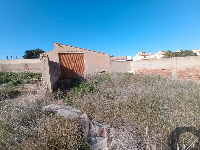 Foto 0e180335-4b45-463d-8913-d8f371cf61a0. Finca rústica en Pilar de la Horadada ciudad Pilar de la Horadada