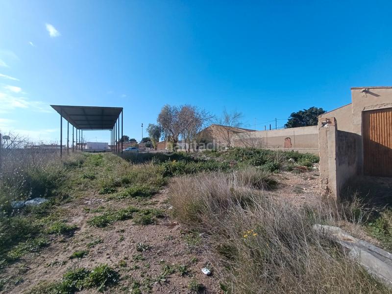 Foto 2c1e3592-8a5f-48e3-9d55-7178ca647aef. Finca rústica en Pilar de la Horadada ciudad Pilar de la Horadada