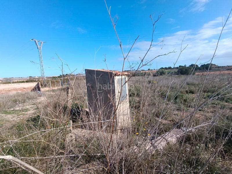 Foto 818ea3dc-800c-43ac-b7ef-ebdfa9da2fae. Finca rústica en Pilar de la Horadada ciudad Pilar de la Horadada