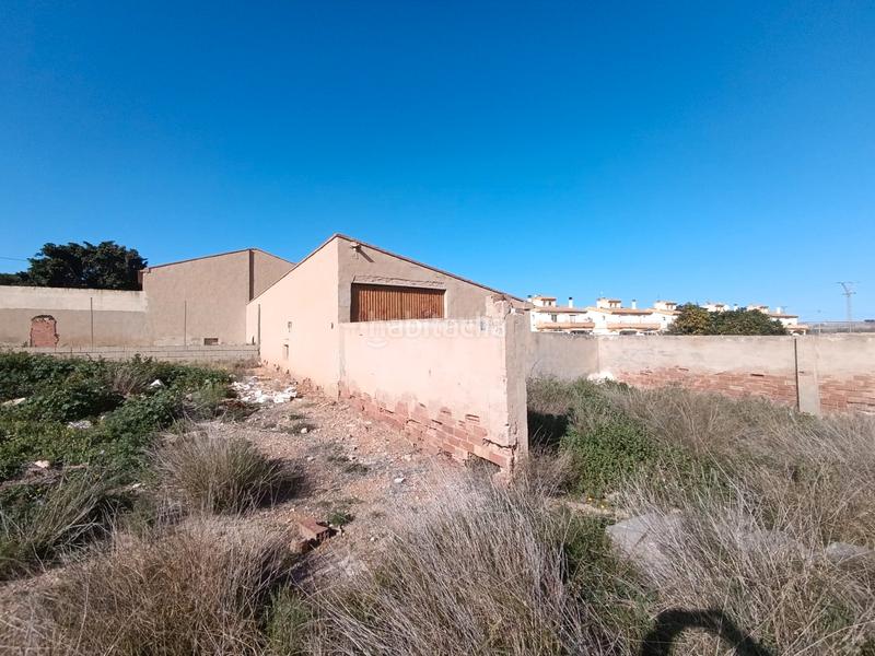 Foto 995c0342-fadd-45bf-b508-78580b2d5073. Finca rústica en Pilar de la Horadada ciudad Pilar de la Horadada