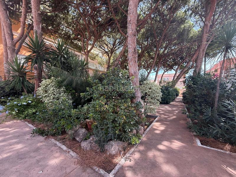 Foto 20511c45-1efc-4b85-9619-01d640bc28dd. Flat with parking in Los Cuarteros San Pedro del Pinatar