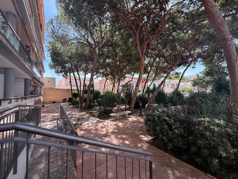 Foto 7ad754d5-cf77-4ea4-89a5-e32a116cd397. Flat with parking in Los Cuarteros San Pedro del Pinatar