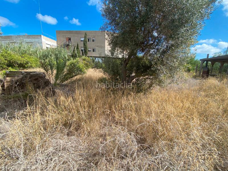 Foto 70bb84fb-d776-47cf-b653-0b7ddf4f82d0. Fondo rustico in San Pedro del Pinatar San Pedro del Pinatar