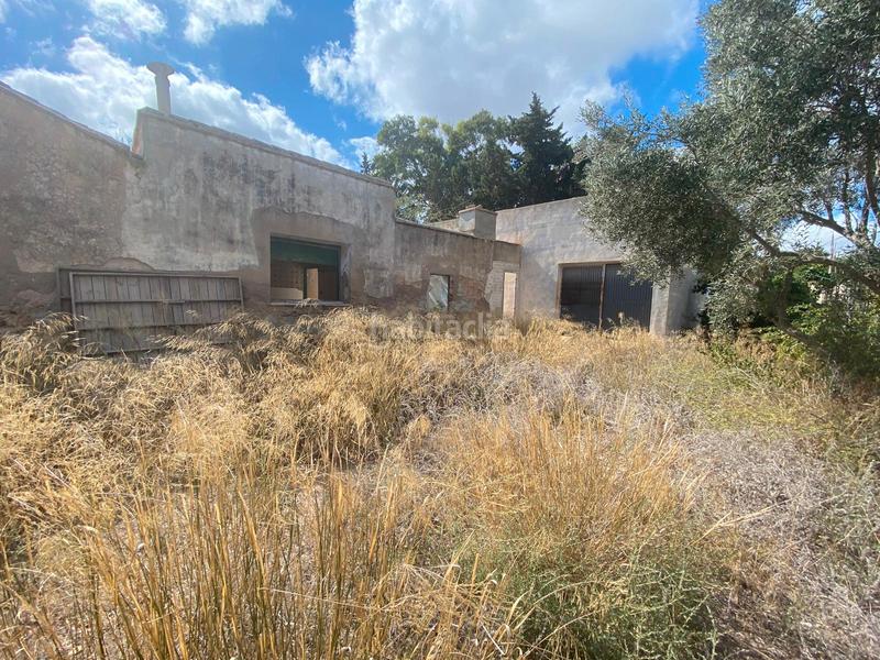 Foto 09aff9e8-a305-4a2a-ac14-6c7e46d51554. Landgut in San Pedro del Pinatar San Pedro del Pinatar