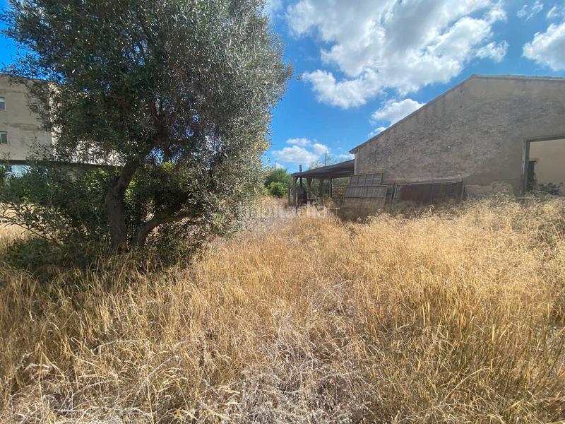 Foto 12c57cc6-2541-459c-a7ce-9a7faafd4d1a. Finca rústica en San Pedro del Pinatar San Pedro del Pinatar