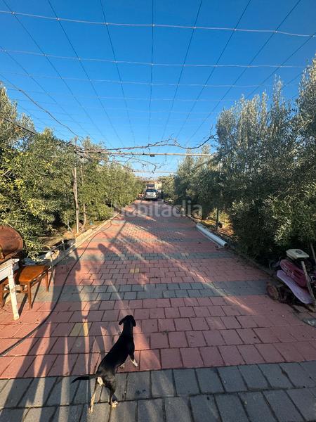 Foto ace705a2-6c05-4b57-8d36-db699a675e27. Bauernhof in San Cayetano Torre - Pacheco