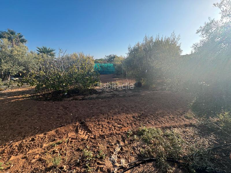 Foto c085d37d-a5dd-4bed-8357-74233c794ab9. Casale in San Cayetano Torre - Pacheco