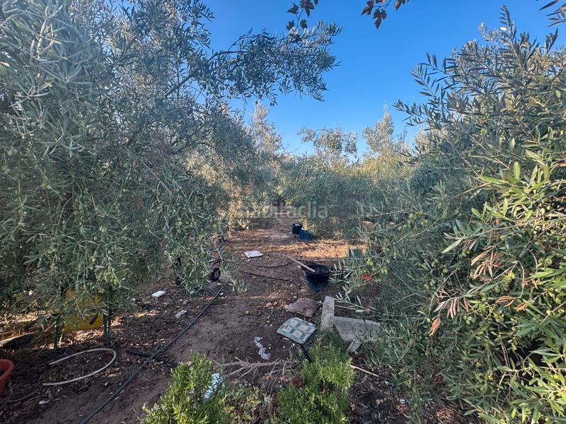 Foto 7fc3eec0-0df2-4e22-9a6a-2ee12e645866. Mas dans San Cayetano Torre - Pacheco