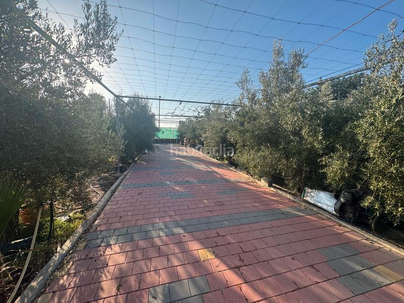 Foto 11fd538b-d9ac-423c-b52d-2bd775dcd0d0. Masia a San Cayetano Torre - Pacheco