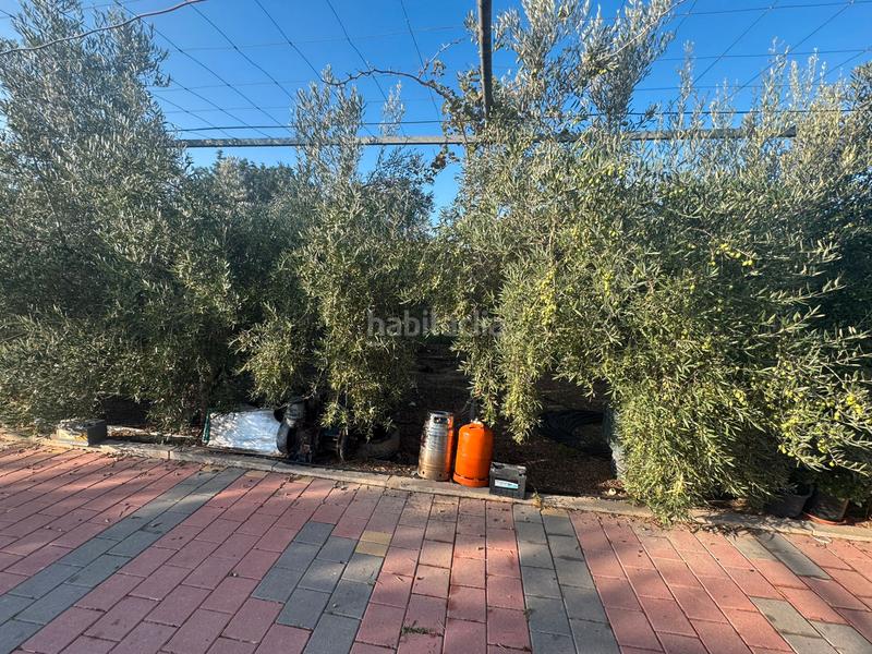 Foto 2951b4d0-49a6-496a-acf9-f10f68e61fad. Masia a San Cayetano Torre - Pacheco