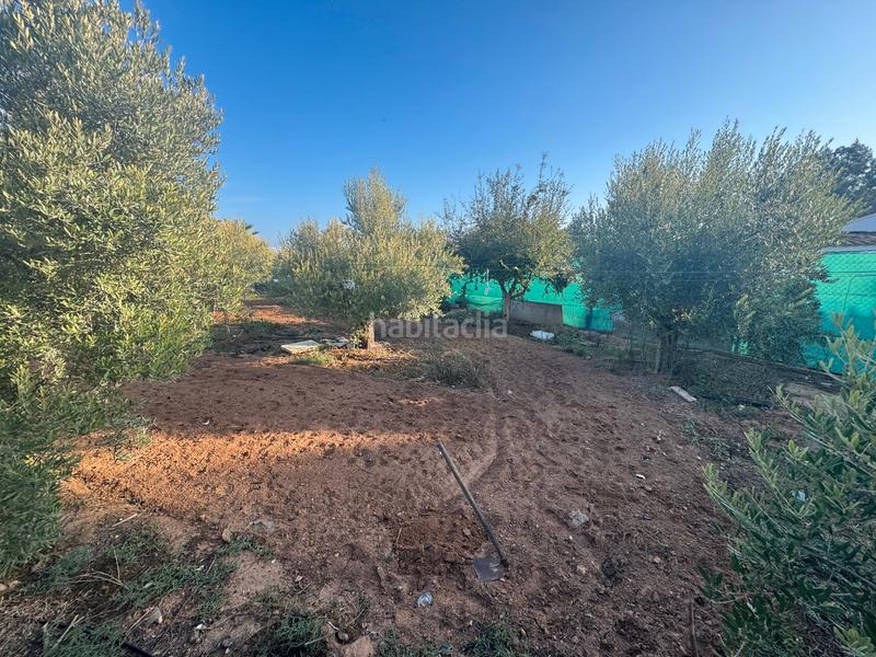 Foto bd647873-e2cb-40e4-80aa-f03406fc9c2f. Masia a San Cayetano Torre - Pacheco