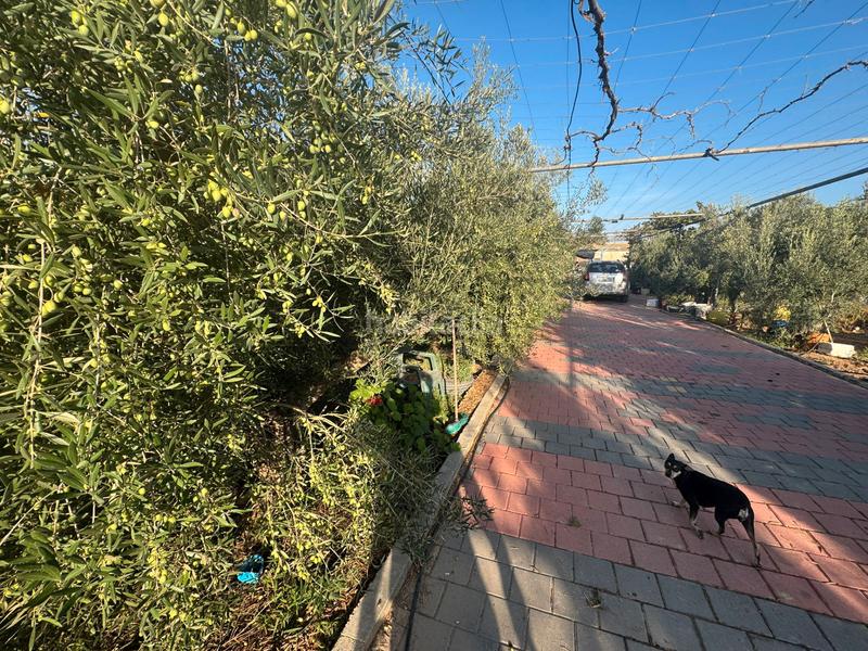 Foto ea608d86-9847-46c5-8e0d-36209d138601. Masia a San Cayetano Torre - Pacheco