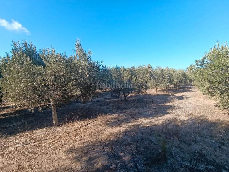 Foto 11510190-678d-46b6-8a4c-1baad160f524. Masia a San Javier San Javier