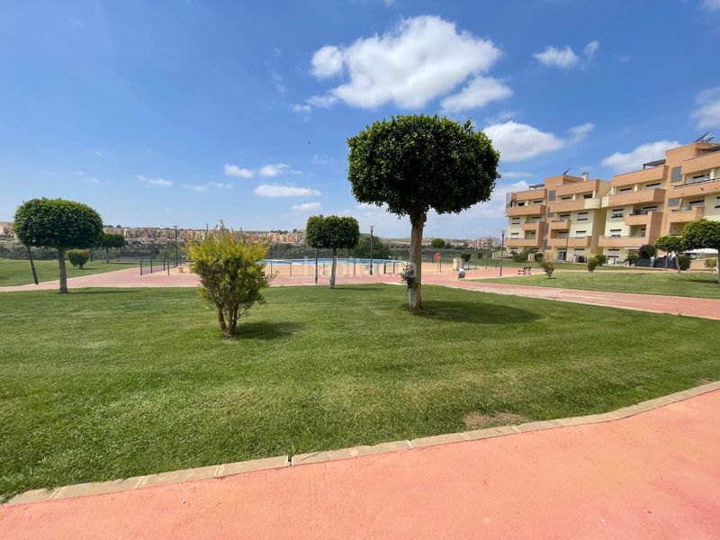 Foto 2d11d93f-5f79-4573-b396-204bda1c8ed5. Pis amb piscina a Gea y Truyols Murcia