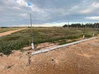 Finca rústica a Centro