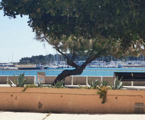 Pis a Passeig mar 18. Apartamento planta baja con vista al mar y amplia terraza