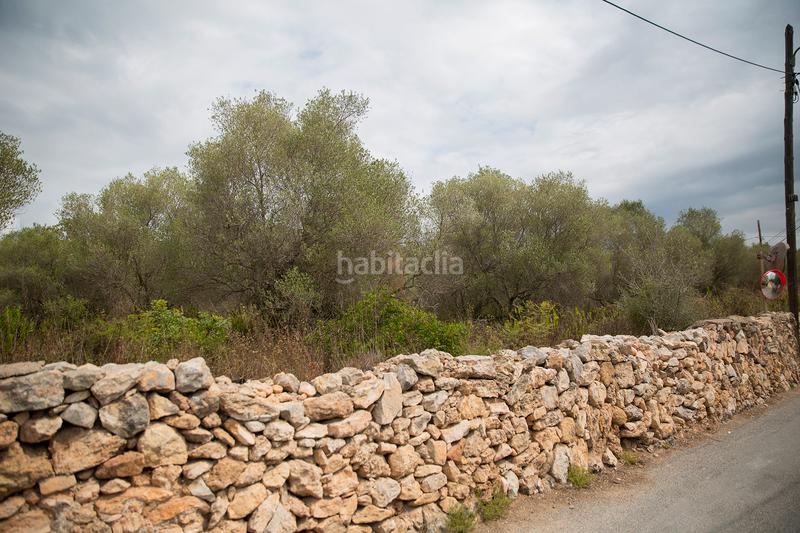 Foto 5ed0ba49-55e4-4693-960d-bf2d5cf4562f. Wohngrundstück in camí del llorito 114 in Urbanitzacions de Llevant Tarragona