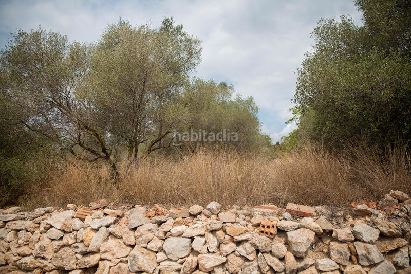 Foto f67dd0cc-dfd1-46ce-b422-551b29a44963. Wohngrundstück in camí del llorito 114 in Urbanitzacions de Llevant Tarragona