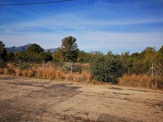 Residential Plot in Carrer del déu amon-ra 32. Mont-roig del camp. urb. el casalot. terreno de aprox. 1.003m2 e