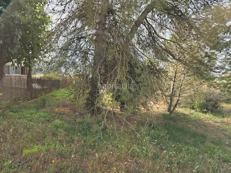 Foto 550f8323-4919-447e-9ee8-2953da4fc3f7. Wohngrundstück in Navarcles